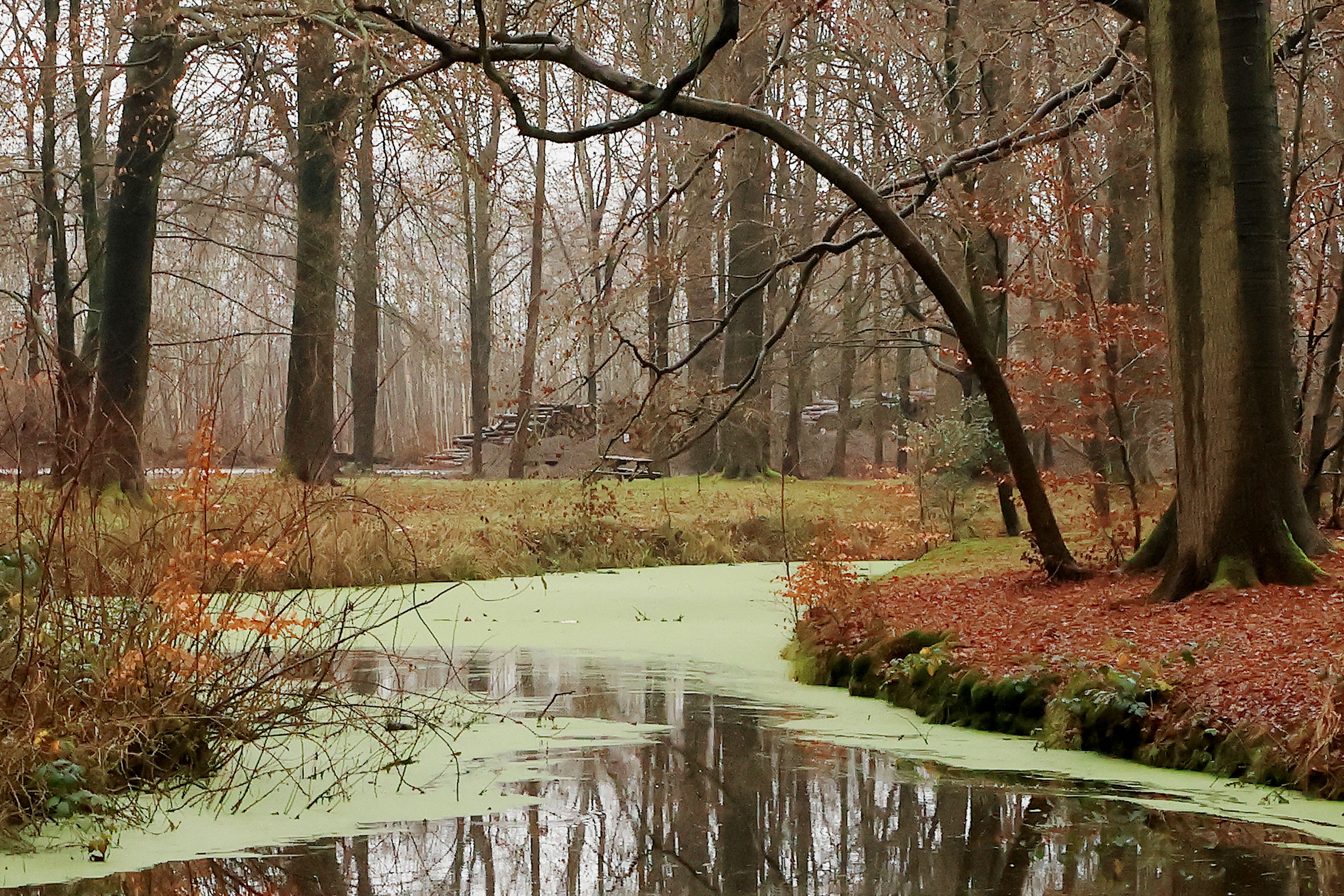 Liesbos